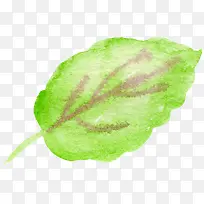 叶子水彩单独清爽叶子-空若网 叶子水彩单独清爽叶子-空若网