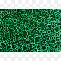 皮质纹理材料特写素材-空若网 皮质纹理材料特写素材-空若网