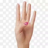 ��ָ-����ʾ��ָPNG������ͼ��-������