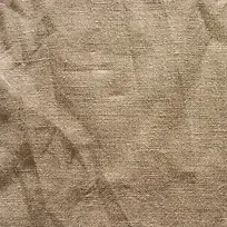 ϸ�鲼��������-������