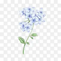 手绘紫罗兰-空若网 手绘紫罗兰-空若网