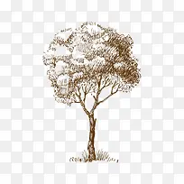 �ֻ�-������