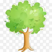 绿色树木-空若网 绿色树木-空若网