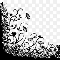 �ڰ�ֲ��߿�-������