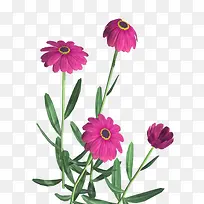 手绘装饰素材装饰卡通-空若网 手绘装饰素材装饰卡通-空若网