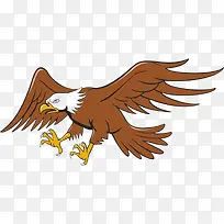 ��ǰ�ɵ���ӥ-������