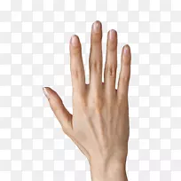 ��ָͼ������ļ�-����ʾ��ָPNG������ͼ��-������