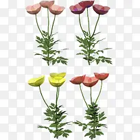 ¿¨Í¨ÂÌÖ²»¨²Ý-¿ÕÈôÍø ¿¨Í¨ÂÌÖ²»¨²Ý-¿ÕÈôÍø