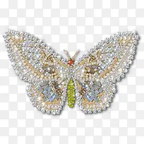 钻石蝴蝶-空若网 钻石蝴蝶-空若网