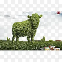 草牛草原背景-空若网 草牛草原背景-空若网