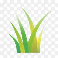 ʸÁ¿Çà»ÆÉ«Ð¡²ÝÔÓ²Ý-¿ÕÈôÍø ʸÁ¿Çà»ÆÉ«Ð¡²ÝÔÓ²Ý-¿ÕÈôÍø