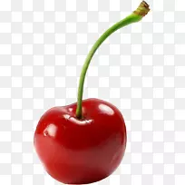 Ó£ÌÒÈûÀË÷˹µçÄÔͼ±ê¼ôÌù»-i-¿ÕÈôÍø Ó£ÌÒÈûÀË÷˹µçÄÔͼ±ê¼ôÌù»-i-¿ÕÈôÍø