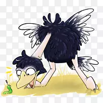 不会飞的鸟普通鸵鸟博客脊椎动物-鸵鸟-空若网 不会飞的鸟普通鸵鸟博客脊椎动物-鸵鸟-空若网