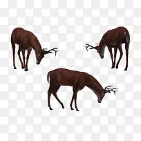 三只吃草的鹿-空若网 三只吃草的鹿-空若网