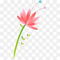 ��ɫ������-������