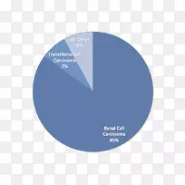 肾癌、肾癌-肾癌-空若网 肾癌、肾癌-肾癌-空若网