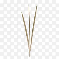 草-空若网 草-空若网