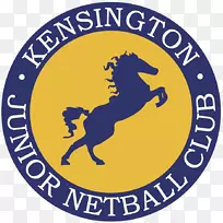 足球队体育协会-无障碍球-空若网 足球队体育协会-无障碍球-空若网