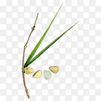 树枝-空若网 树枝-空若网