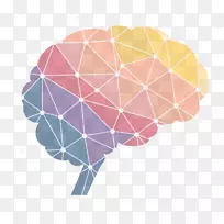 神经科学前沿-脑科学杂志前沿媒体-研究-空若网 神经科学前沿-脑科学杂志前沿媒体-研究-空若网