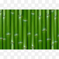 ���񱳾�-������