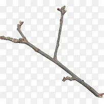 б��Y�ο�֦-������