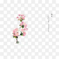 手绘花卉-空若网 手绘花卉-空若网