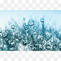 �����������ˮ��-������