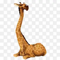 长颈鹿-空若网 长颈鹿-空若网