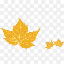 树叶-空若网 树叶-空若网