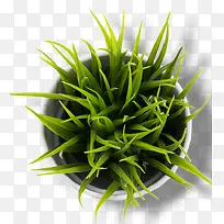 ����С��-������