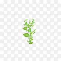 成长的小草-空若网 成长的小草-空若网