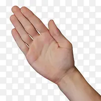 �������ָ-������