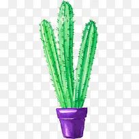 С���²廭�����ƿ�ͨ����-������