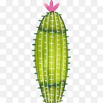 小清新插画广告设计卡通仙人掌-空若网 小清新插画广告设计卡通仙人掌-空若网