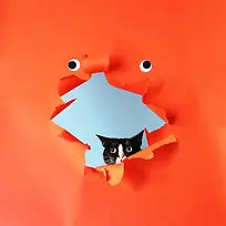 橙色墙纸破碎黑猫海报背景-空若网 橙色墙纸破碎黑猫海报背景-空若网
