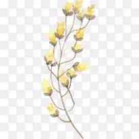 手绘水彩黄色花骨朵-空若网 手绘水彩黄色花骨朵-空若网