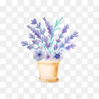 唯美薰衣草-空若网 唯美薰衣草-空若网