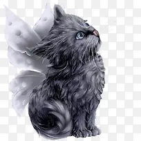 彩绘天使波斯猫-空若网 彩绘天使波斯猫-空若网