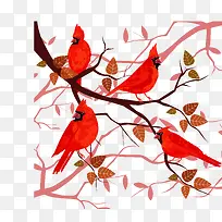 树枝上的小鸟-空若网 树枝上的小鸟-空若网