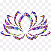 Nelumbo nucifera��ͼ��������-��ɫ-������