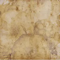 黄色晕染植物背景-空若网 黄色晕染植物背景-空若网