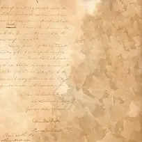 ��Ҷ��ֽ����-������