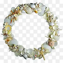 海滩素材贝壳海星-空若网 海滩素材贝壳海星-空若网