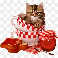 可爱小猫-空若网 可爱小猫-空若网