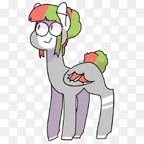 马术动物-空若网 马术动物-空若网