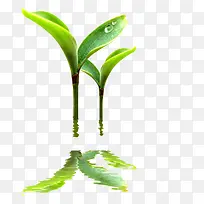 ��-������