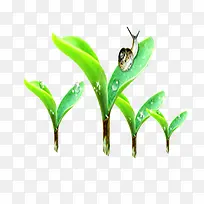 ����ţ�ز�-������