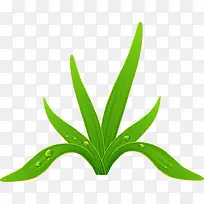 手绘绿草-空若网 手绘绿草-空若网