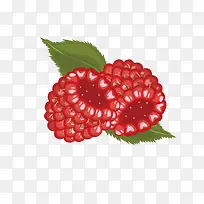 卡通手绘水果装饰海报设计桑葚-空若网 卡通手绘水果装饰海报设计桑葚-空若网